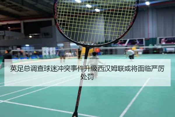 英足总调查球迷冲突事件升级西汉姆联或将面临严厉处罚