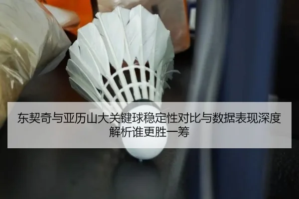 东契奇与亚历山大关键球稳定性对比与数据表现深度解析谁更胜一筹